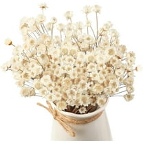 100Pcs Natural Dried Flowers Brazilian Small Star Daisy Dry White Decorative, NOGIS Mini Chamomile Bouquet for Wedding Floral Arrangements Home Decorations