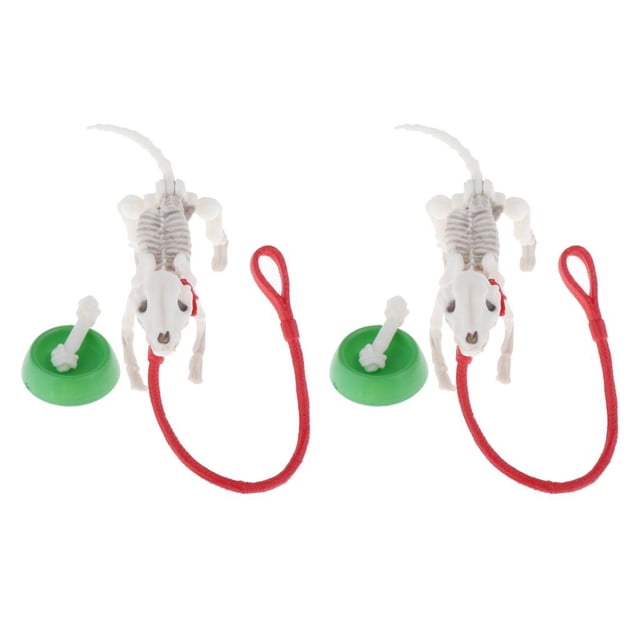 de 2 Miniatura, Huesos de mascota en Un Tazón, lecciones de Juguetes para CUTICAT Muñeca de esqueleto en miniatura