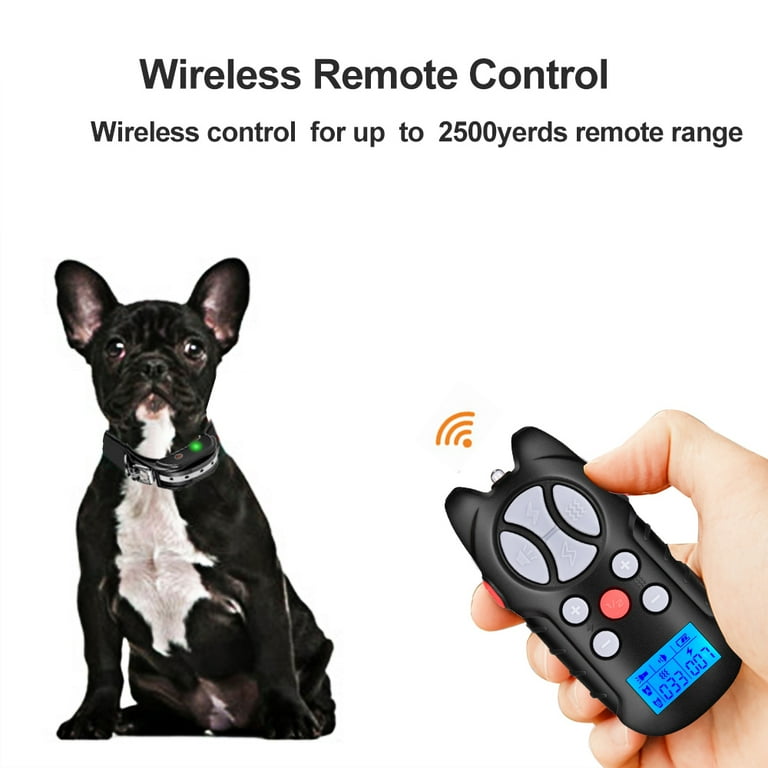 Zhaomu dog training collar 2025