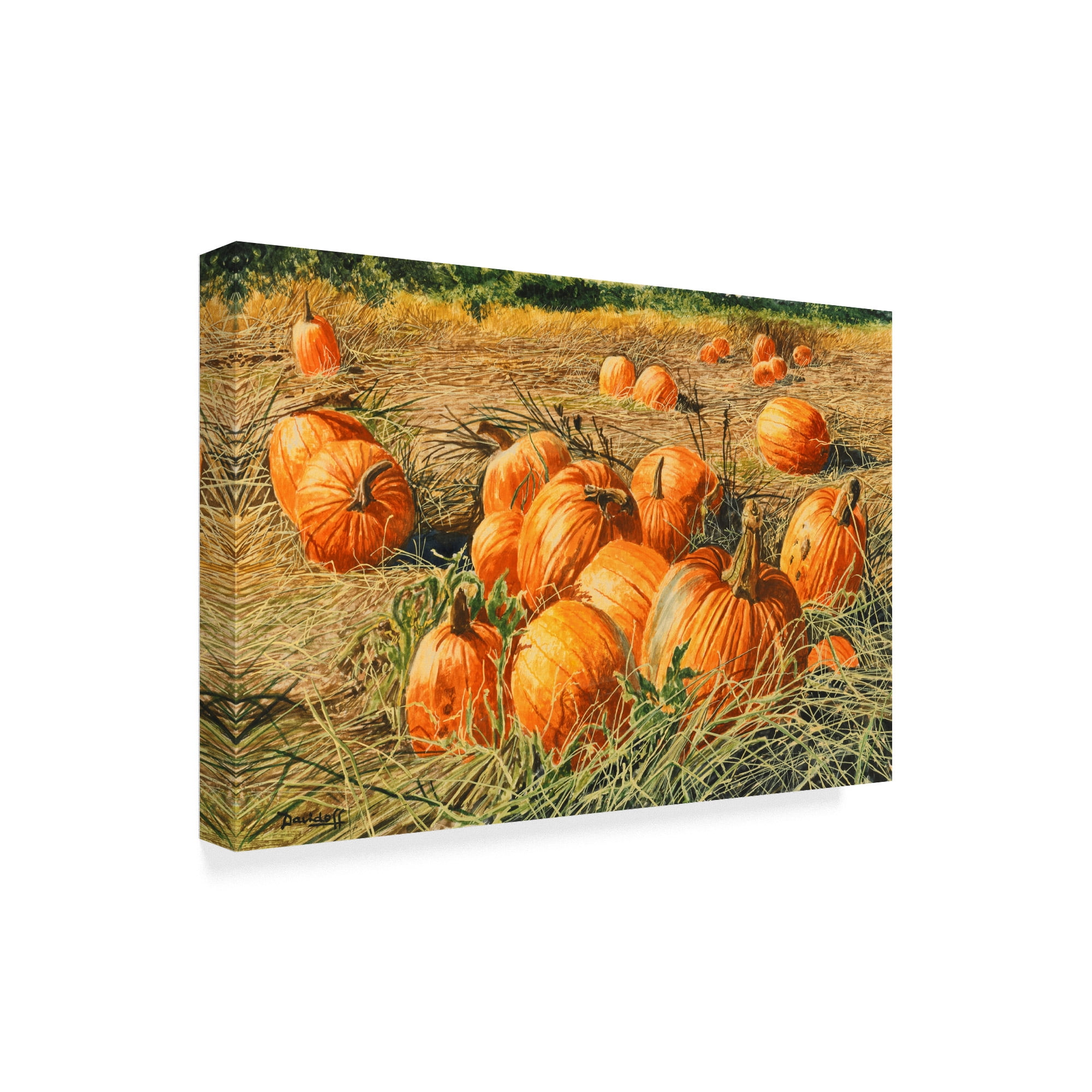 Trademark Fine Art 'Pumpkin Harvest' Canvas Art by Michael Davidoff