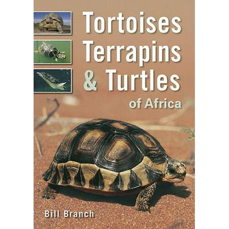 Tortoises Terrapins Amp Turtles Of Africa Walmart Com