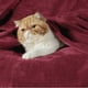 thumbnail image 2 of Manta Bedsure GentleSoft de Franela para Cama Individual 150x200cm Roja, 2 of 7