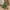 Green, variant on Levmjia Summmer Dress for Women Sexy Boho Sun Beach Swing Mini Dresses Bohemian Spaghetti Strap Smocked Tiered Long Beach Sun Dresses Sleeveless Solid Maxi Dress