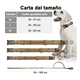 thumbnail image 2 of Collar Y Cuerda Para Perros Malubero CAQUI talla XGRANDE, 2 of 4