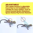 thumbnail image 4 of Reptile Leash, Adjustable Luminous Design Bearded Dragon Harness And Leash Portable Reptile Lizard Leash For Turtles And Lizards And Small Pet, 4 of 8
