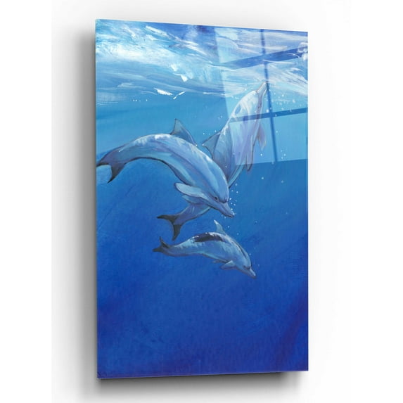 Epic Art 'Under Sea Dolphins' by Tim O'Toole, Acrylic Glass Wall Art, 12"x16"