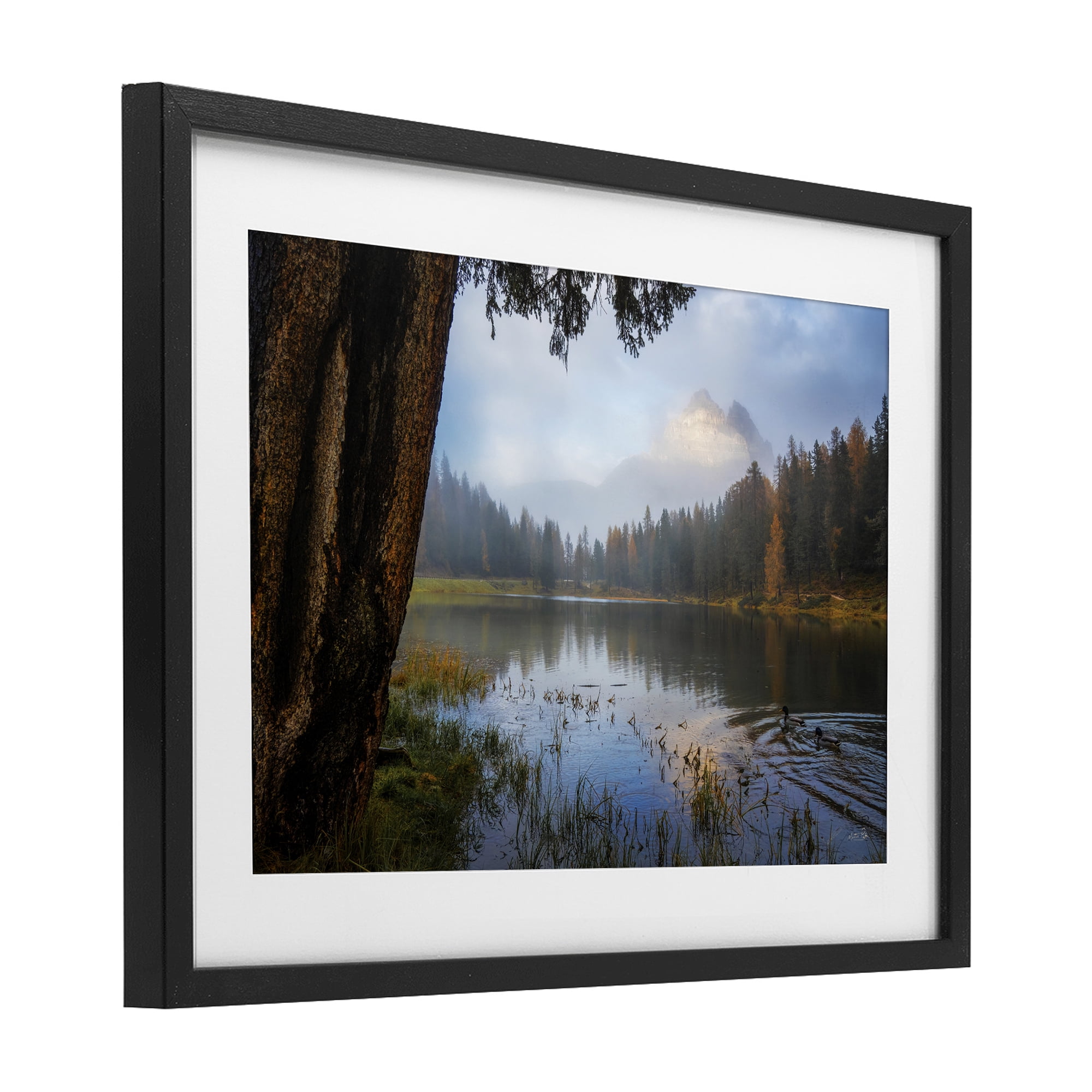 Stupell Industries Autumn Forest Reflections Black Framed Print Under Glass, design by Martin Podt