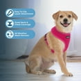 thumbnail image 3 of AeroLite No Pull Mesh Dog Harness with Lightweight, Soft, Breathable Chest Coverage, Reflective Stitching, and Adjustable Straps for Walking, Running, Training, Heavy Duty and Durable, 3 of 7
