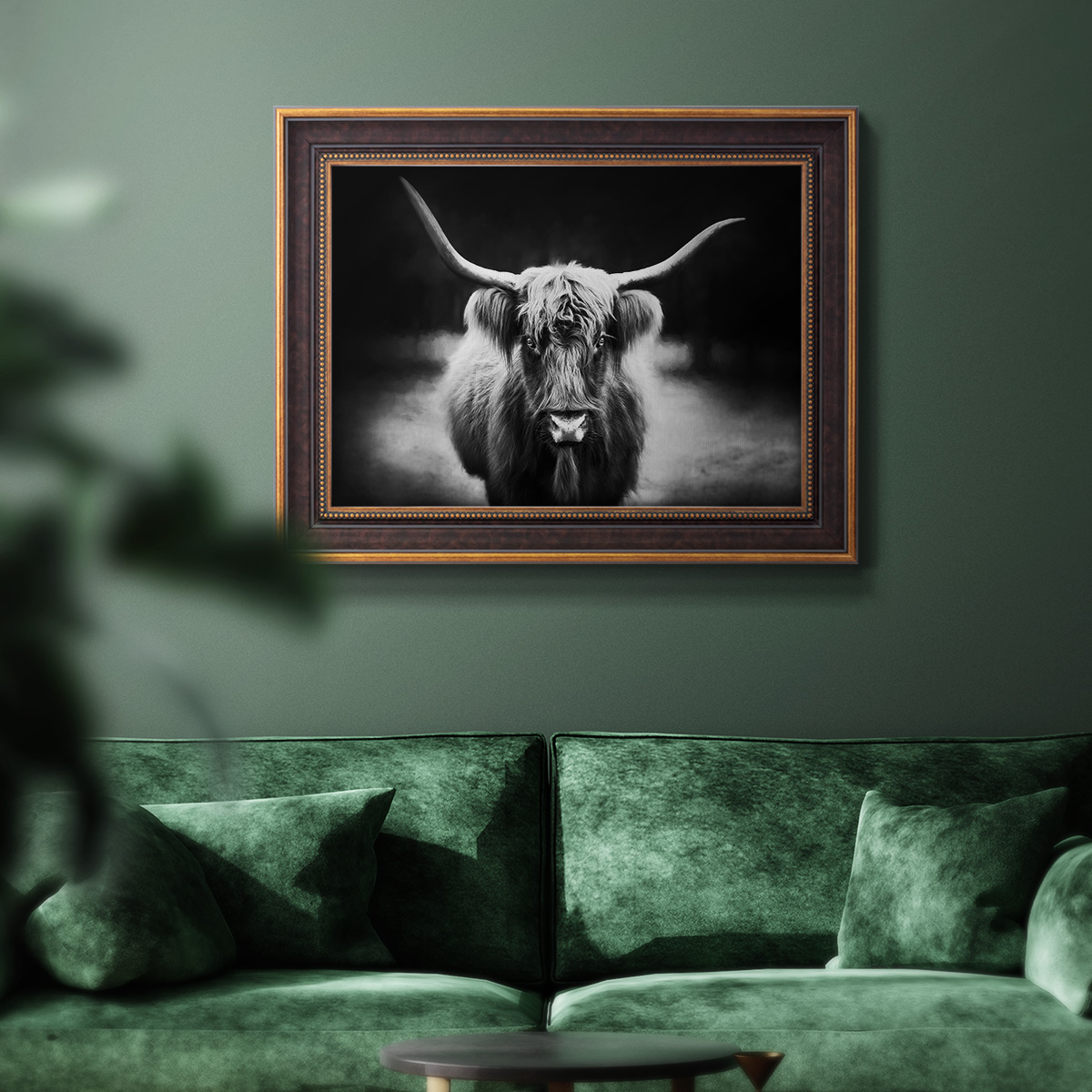 Photography Study Highland Cattle Premium Framed Canvas- Ready to Hang