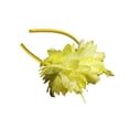 thumbnail image 1 of Sonducket Mujeres boda ceremonia pluma flor diadema ornamento niñas banquete diadema señoras Cosplay cabeza accesorio Decoración Accesorio para el cabello Amarillo Sonducket AP012180-02B, 1 of 6