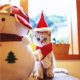 thumbnail image 4 of Bearachild Conjunto de gorro y bufanda de Navidad para mascotas Disfraz de Navidad para mascotas Accesorios para mascotas Kits de decoración para fiestas Bearachild HA029820-00, 4 of 5