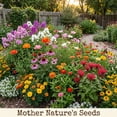 thumbnail image 4 of 5000 Seeds Full Season Pollinator Garden Wildflower Mix Non-GMO Mother Nature's Seeds, 4 of 5