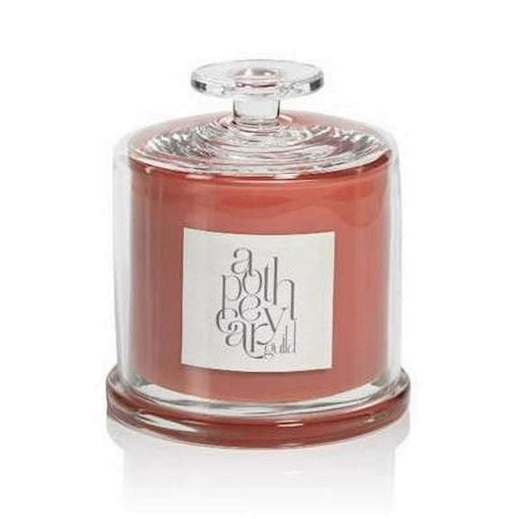 FIG VETIVER Zodax Apothecary Guild Large Scented Jar Candle with Cloche - 36 oz