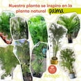 thumbnail image 4 of Planta artificial decorativa moderna Artego Palmera Hawaii grande 160cm para hogar sala comercio oficina, 4 of 9