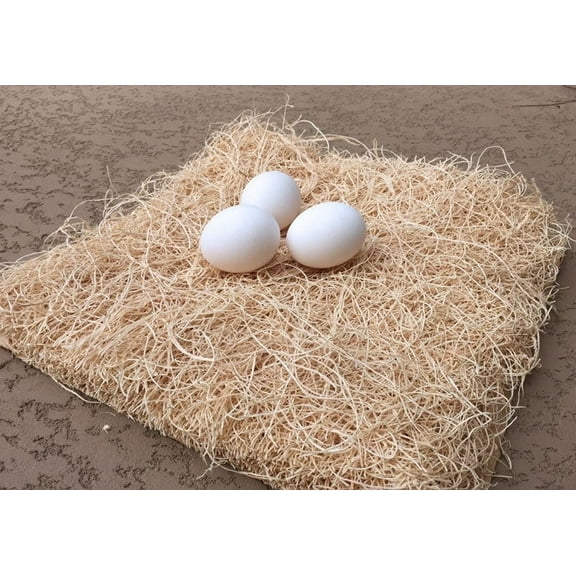 Big Chicken Co. Natural Aspen Fiber Nesting Pads for Chicken Coop, 13x13 inches, Pack of 10