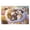300, variant on Puzzles for Adults 500 Pieces - Kitty Cats Pillow Funny Inspirational Wooden Jigsaw Puzzles for Family Activities Games