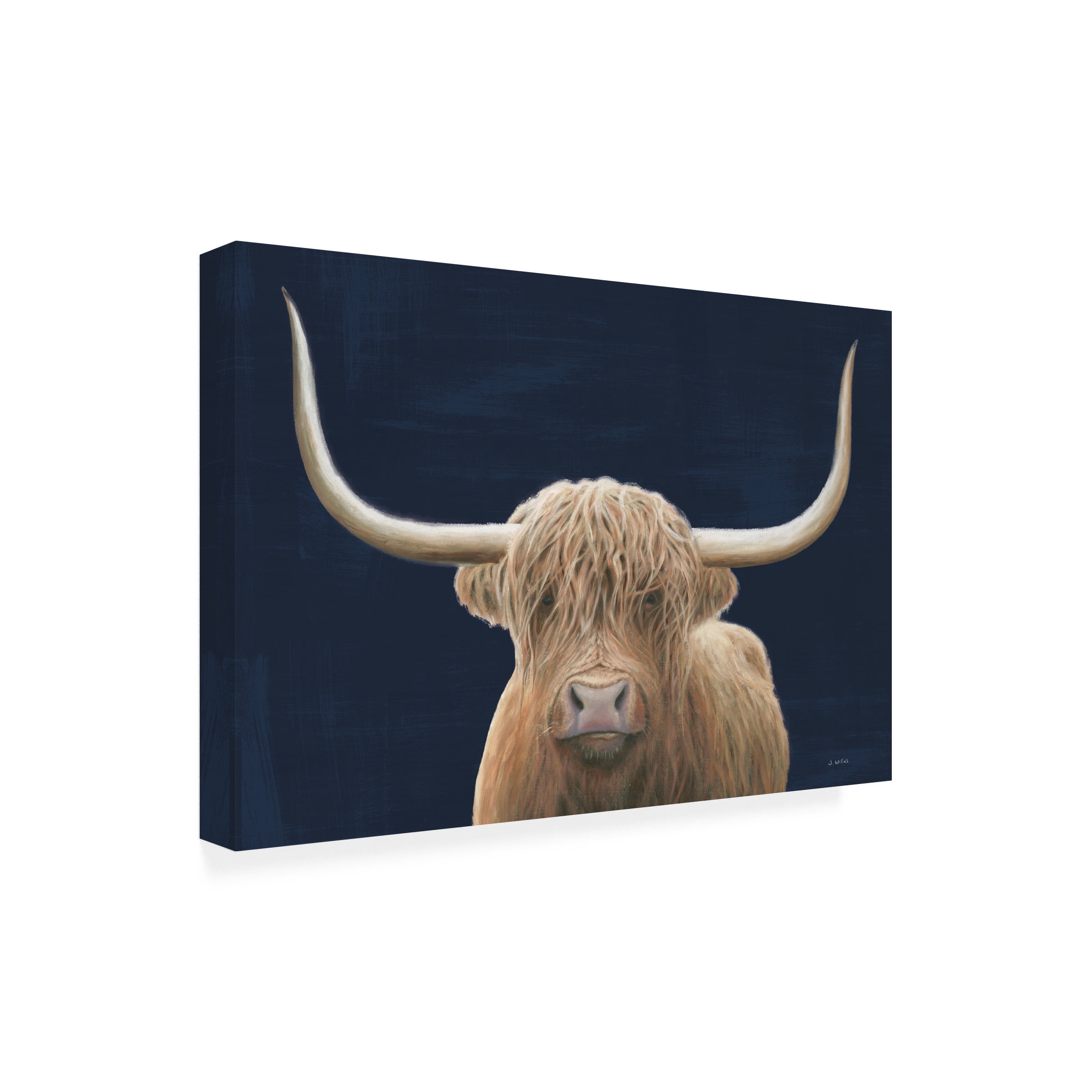 James Wiens 'Highland Cow Navy' Canvas Art