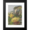 thumbnail image 2 of Hugo Charlemont 14x18 Black Modern Framed Museum Art Print Titled - Broom in Bloom on Brioni (1912), 2 of 5