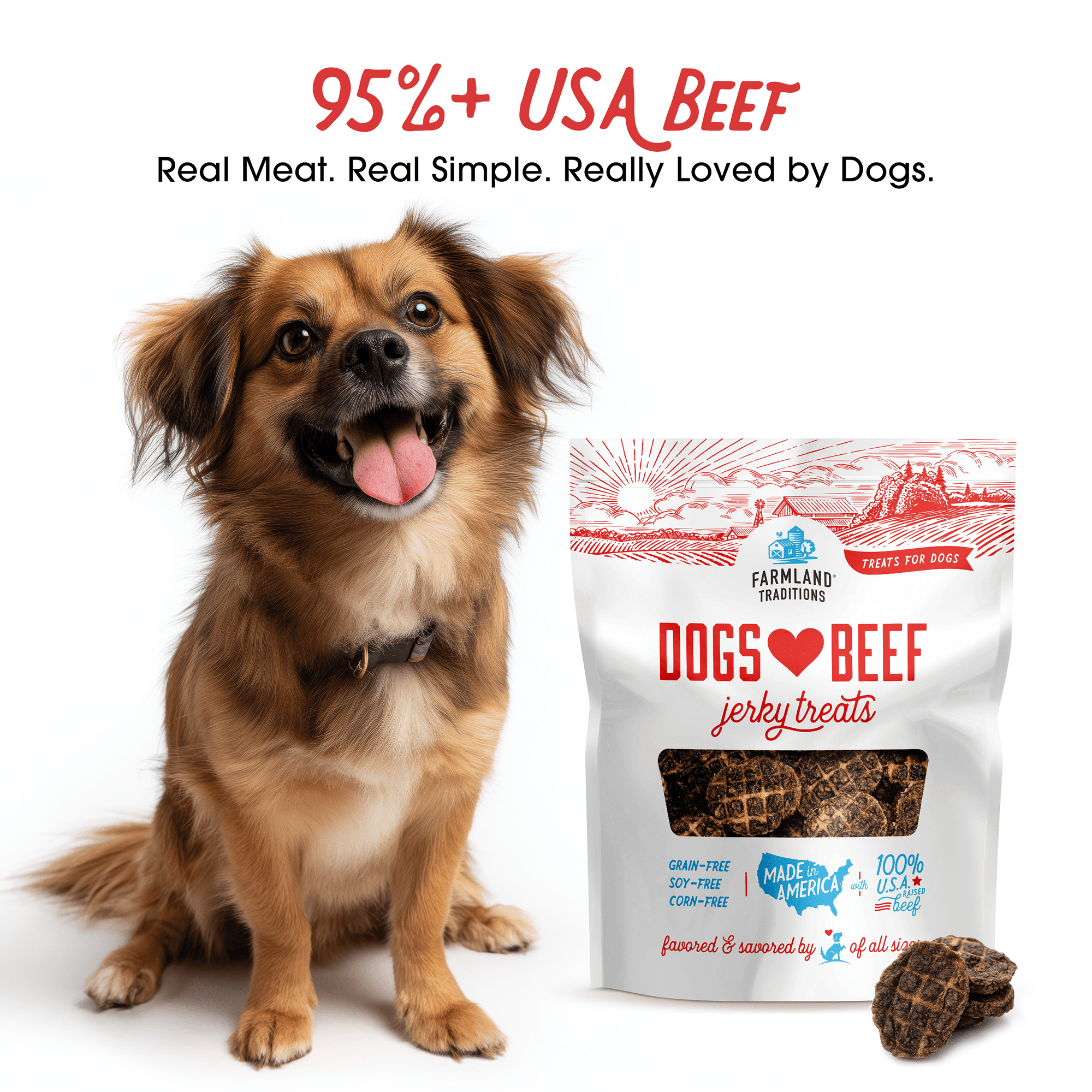 Farmland Traditions Dogs Love Beef Jerky Dog Treats with Only 4 Ingredients and No Fillers, 2.5 Pound Bag