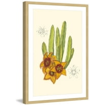 Marmont Hill "Flowering Cactus III" Framed Painting Print