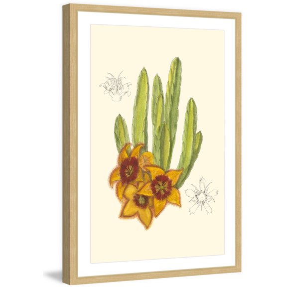 Marmont Hill "Flowering Cactus III" Framed Painting Print