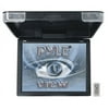 PYLE View Series PLVWR1542 - LCD monitor - display - 15" - external