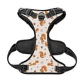 thumbnail image 5 of Lsque Cute Squirrel Fall Dog Harness, No-Pull Pet Harness with 2 Leash Clips, Adjustable Soft Padded Dog Vest with Easy Control Handle for Large Dogs-Medium, 5 of 9