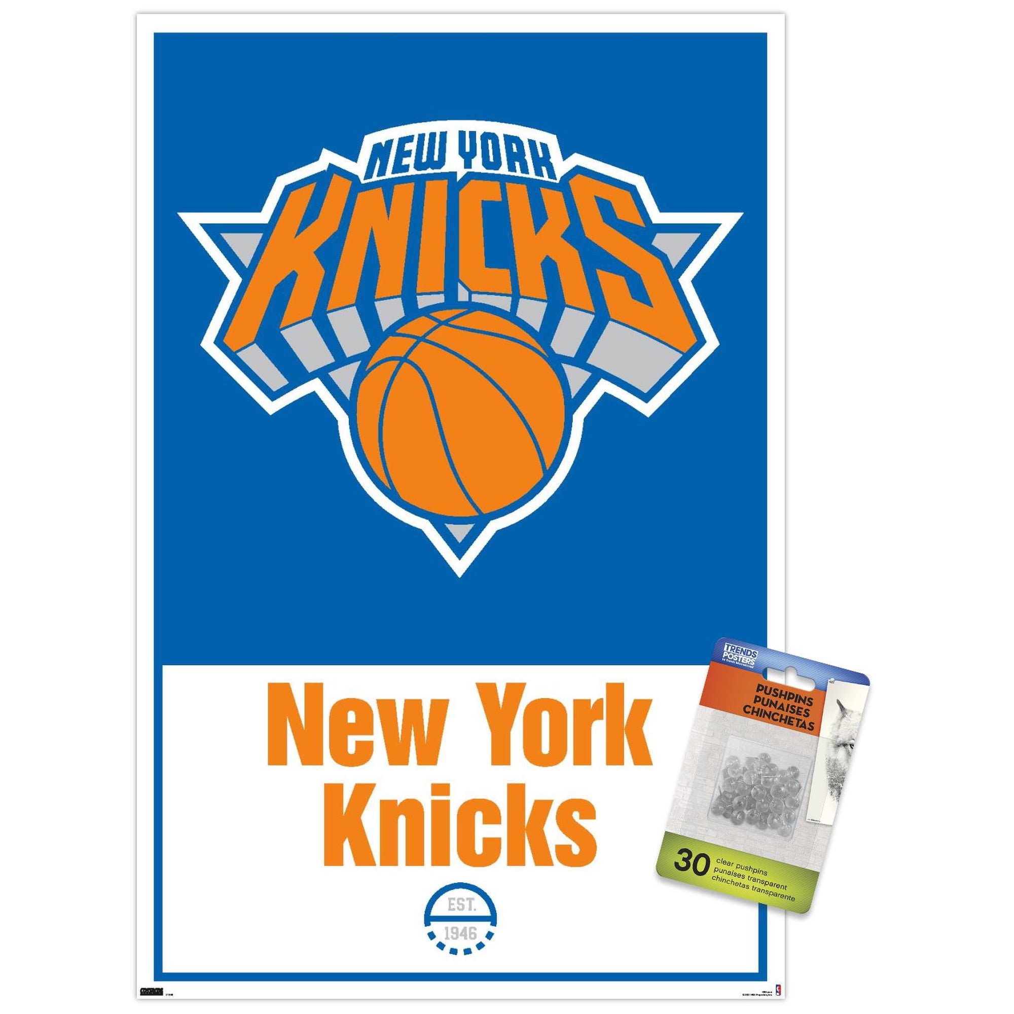 NBA New York Knicks - Logo 21 Wall Poster with Pushpins, 14.725" x 22.375"