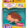 Ouchee Hedgehog