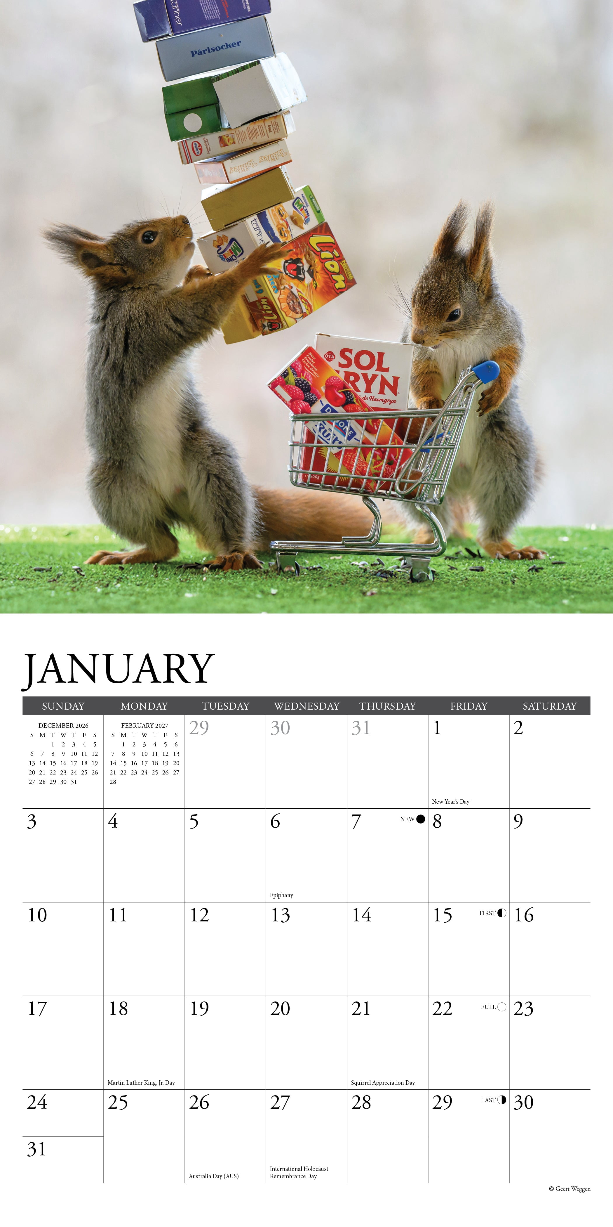 Willow Creek Press, Gettin' Squirrelly 2027 Mini Wall Calendar