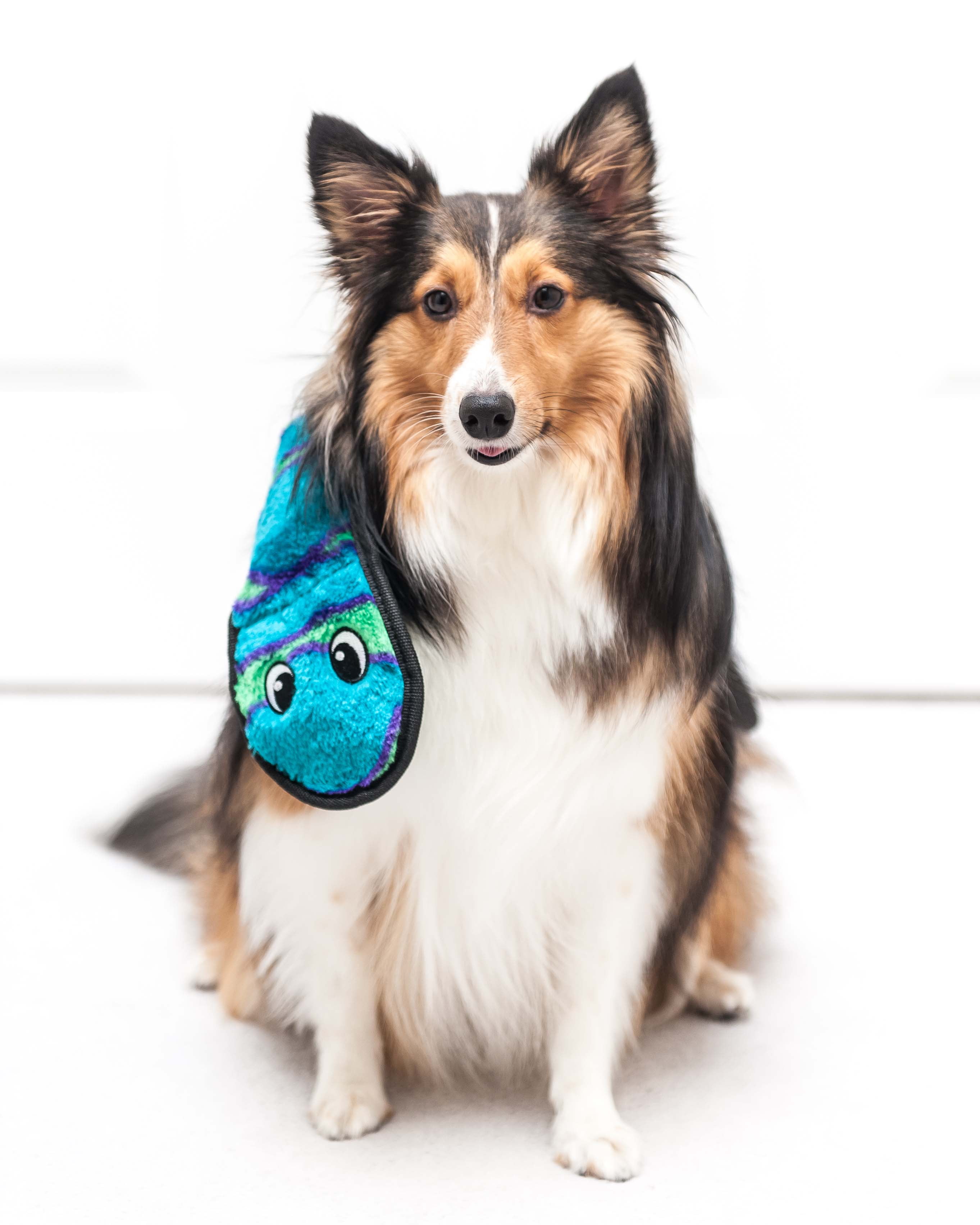 Green snake dog shop toy