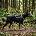 thumbnail image 6 of Mammoth Reflective Utility Dog Waking Harness, Green, Medium, 6 of 13