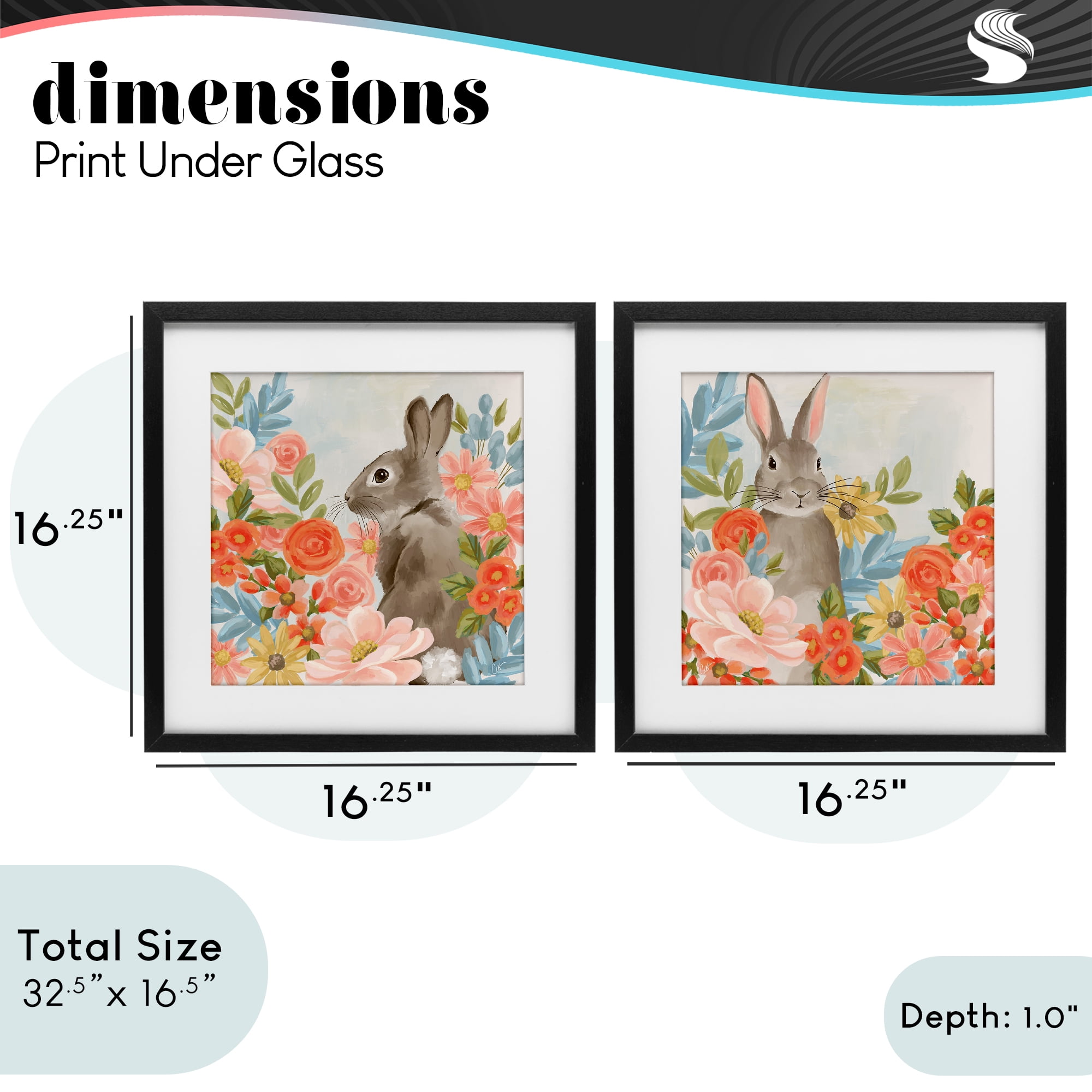 Stupell Industries Bright Bunny Blooms 2 Piece Black Framed Print Under Glass Set, design by Cat Thurman Designs