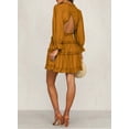 thumbnail image 3 of HOTAPEI Womens Dresses 2023 Spring Summer Deep V Neck Open Back Dress Ruffle Layer Swing Long Sleeve Mini Dresses, 3 of 5