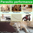 thumbnail image 5 of Oimmal Digestive Care Chew Treats for Dogs, with Brewer's Yeast Natural Soft Chews for Dogs - All Breeds and Ages - 150 Count, 5 of 11