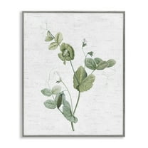 Stupell Industries Soft Country Botanical Botanical & Floral Painting Gray Framed Art Print Wall Art, 24 x 30