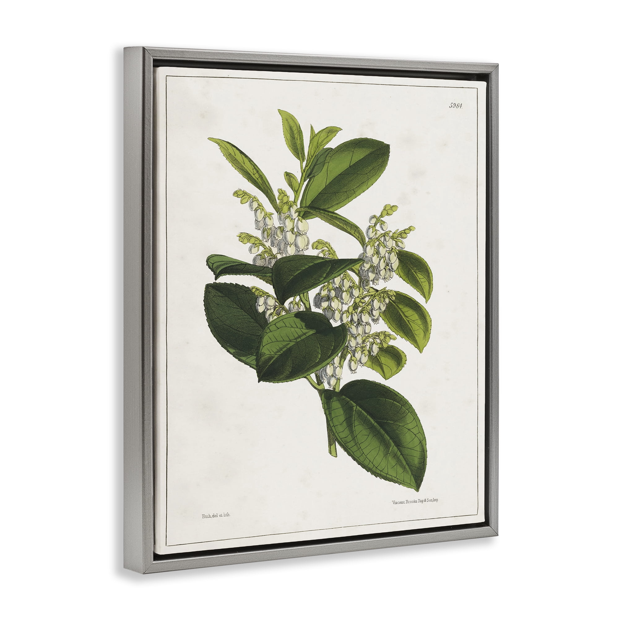 Stupell Industries Forest Nature Botanical Plants & Flowers Painting Gray Floater Framed Canvas Art Print Wall Art, 17 x 21