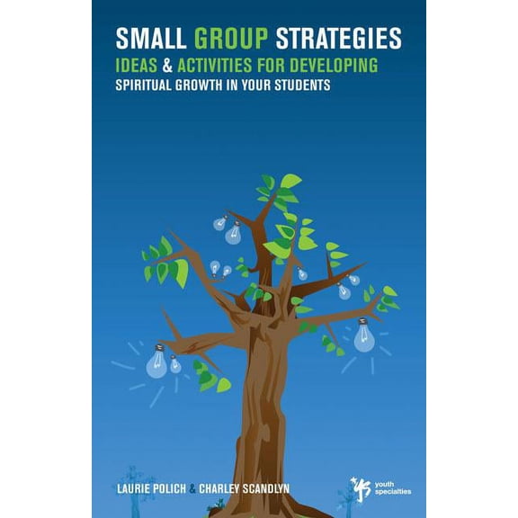 Small Group Strategies: Ideas& Activities for Developing Spiritual Growth in Your Students, (Paperback)