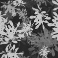 thumbnail image 2 of Hogan, Melody 20x20 Black Ornate Wood Framed with Double Matting Museum Art Print Titled - Foliage Dark 2, 2 of 4