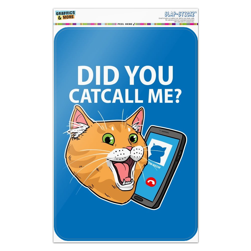 Did You Catcall Me Cat With Phone Home Business Office Sign - Walmart.com