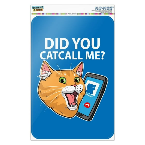 Did You Catcall Me Cat With Phone Home Business Office Sign