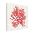 thumbnail image 2 of Wild Apple Portfolio 'Pacific Sea Mosses II Red' Canvas Art, 2 of 3