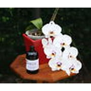 Orchid Love Organic Orchid Fertilizer Food Bloom Booster 1 Quart (32oz) Liquid Concentrate - Best Natural Fertiliser