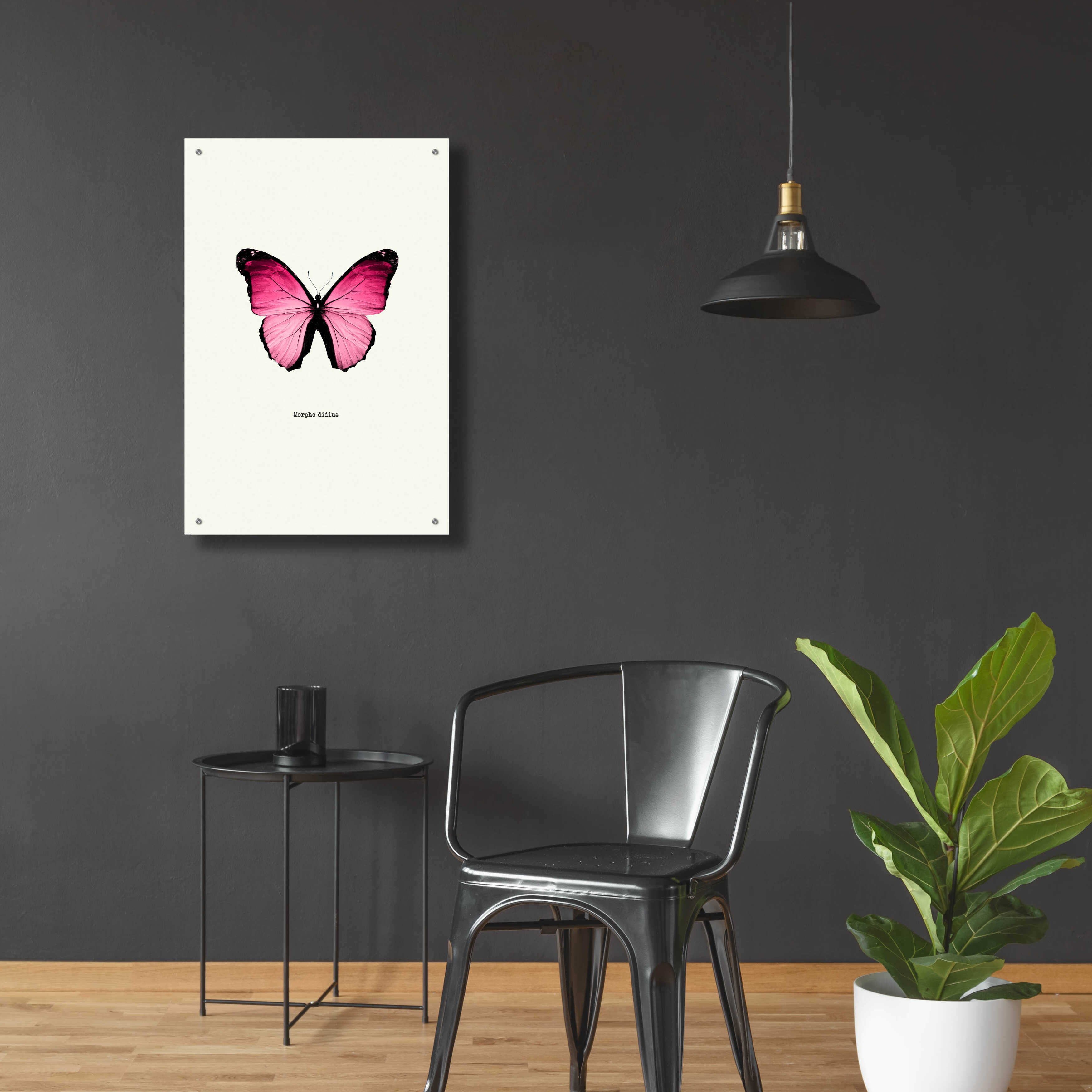 Epic Art 'Pink Butterfly' by GraphINC, Acrylic Glass Wall Art, 24"x36"