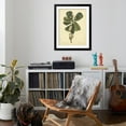 thumbnail image 4 of Art.com Catesby Bird & Botanical III Art Print by Mark Catesby, Black Frame Wall Art, 32" x 40", 4 of 5