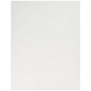 Avon Brilliant White Card Stock - 8 1/2 x 11 in 110 lb Cover Smooth