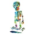 thumbnail image 2 of 100% Cotton Men's Graphic T-Shirt, Cool Skeleton Skateboarding Design, Vibrant Print, Regular Fit, Casual Crew Neck Tee for Summer Daily Wear Menswear Top, 2 of 6