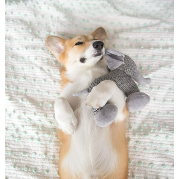 Woven Cute Dog Toys - Elephant Dog Toy, Monkey Dog Toy, or Sheep Dog Toy - 1 or 2 Pack Squeaker Dog Toy - Soft Plush Toys for Light Biters - Dog Chew Toys