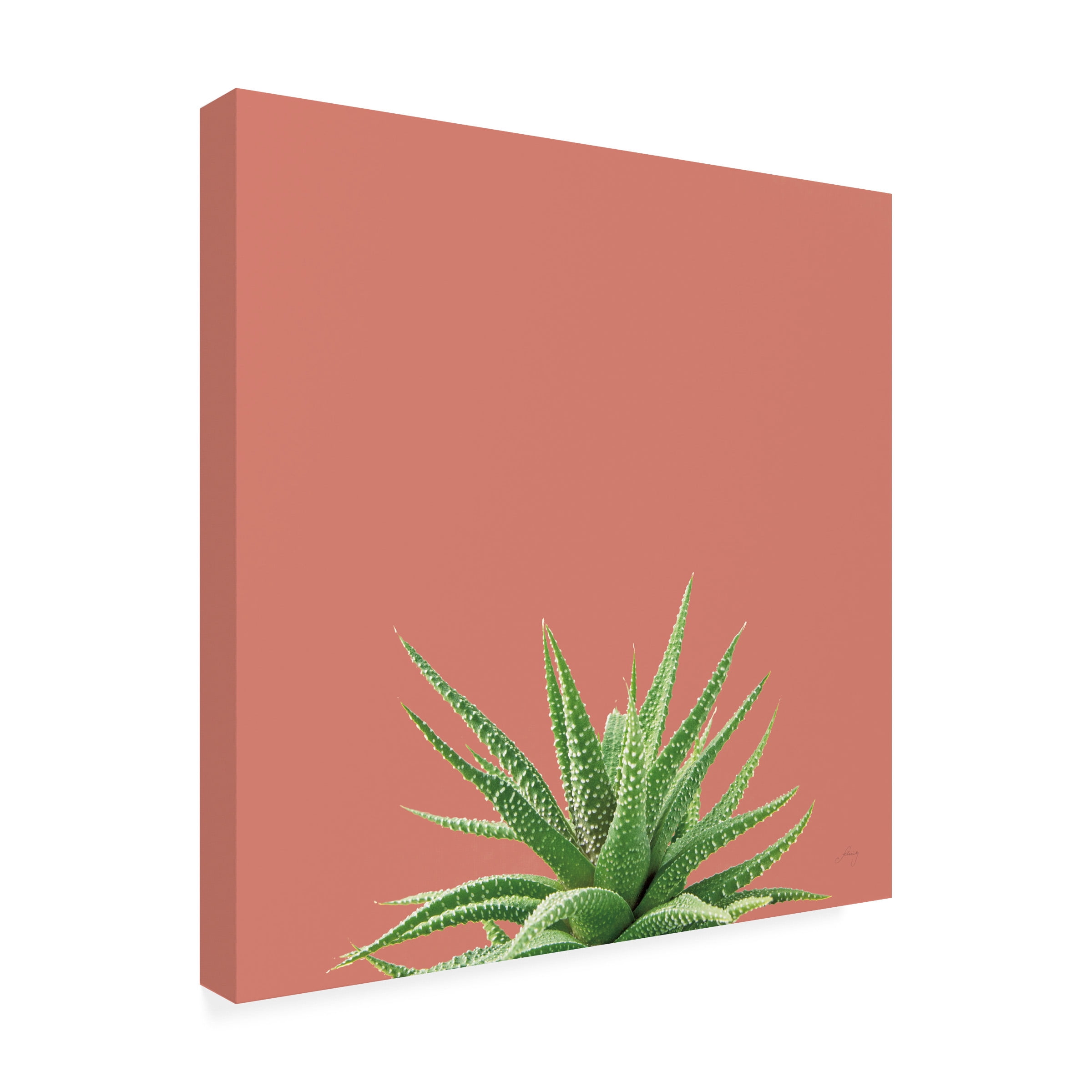 Felicity Bradley 'Succulent Simplicity I Coral' Outdoor All-Weather Wall Decor