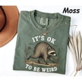 thumbnail image 2 of RosaWear Jimothy Raccoon It's Ok To Be Weird Funny Garment-Dyed Tee, 2 of 7